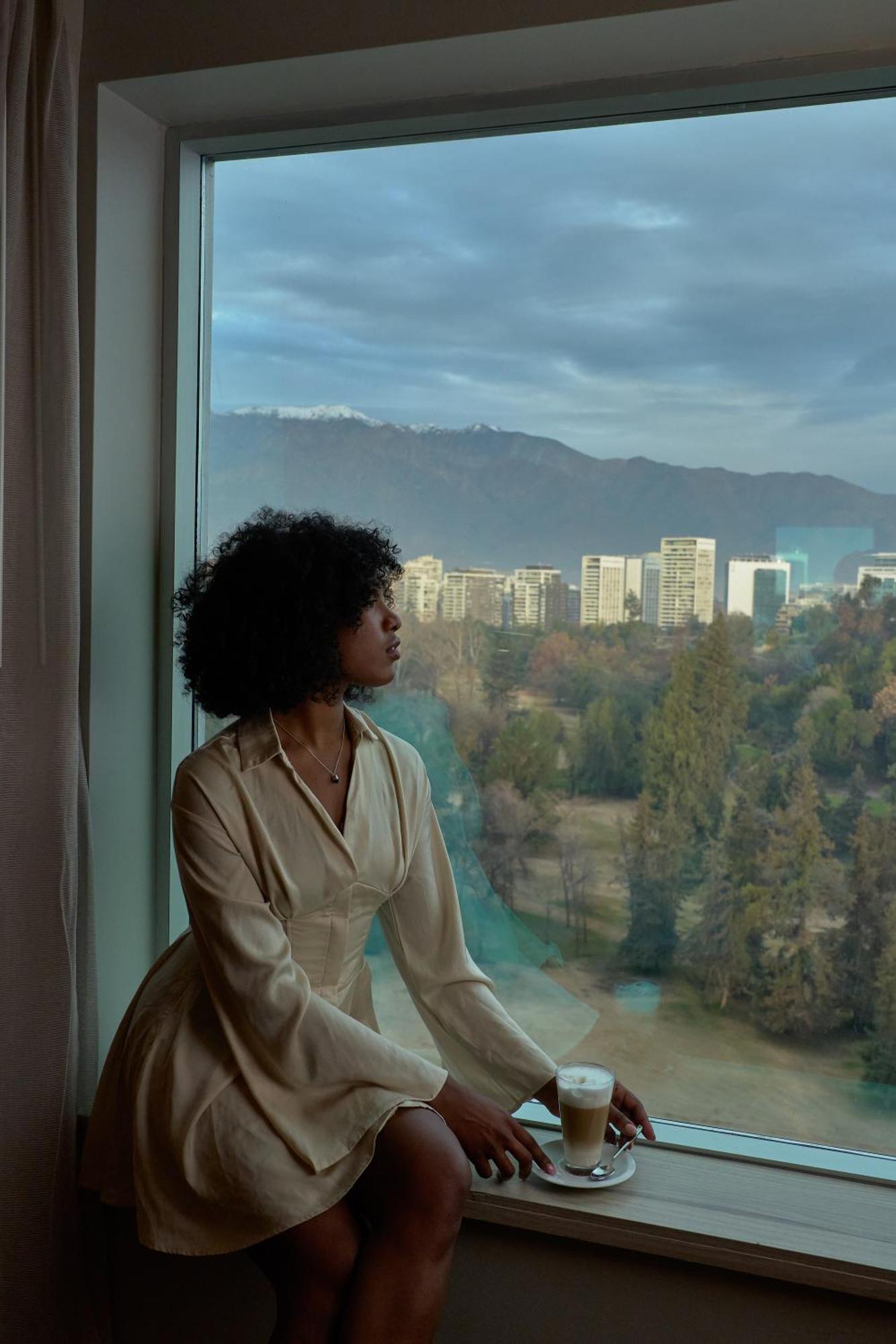 Pullman Santiago Vitacura מראה חיצוני תמונה A woman with natural hair